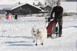 Lenk 2012 SM